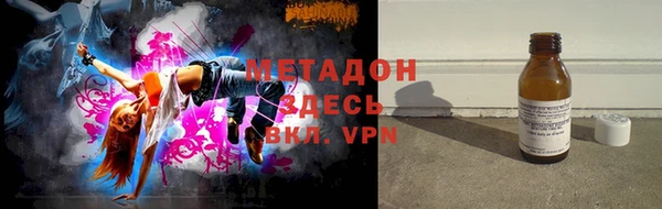прущие грибы Дмитров