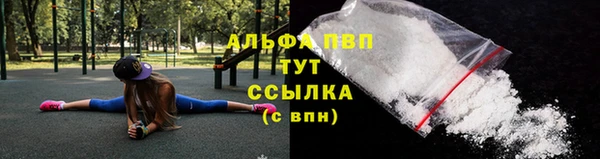 прущие грибы Дмитров