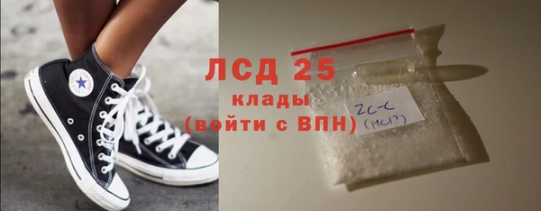 прущие грибы Дмитров