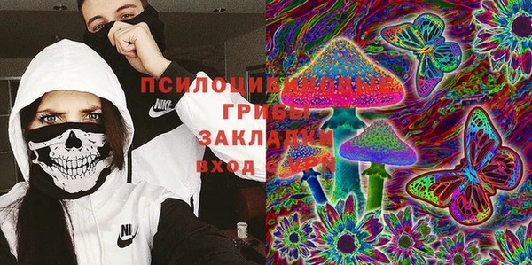 прущие грибы Дмитров