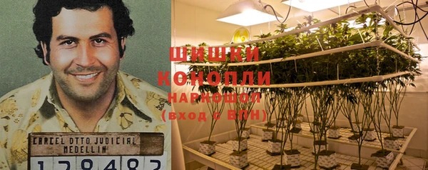 кокаин Дмитриев