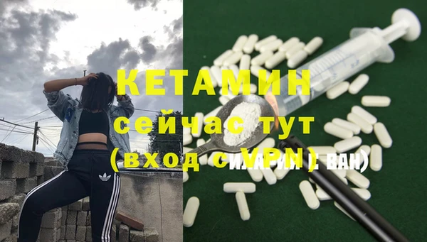 прущие грибы Дмитров