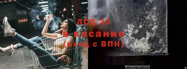 прущие грибы Дмитров